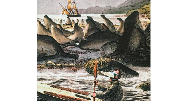 Aleuci z Alaski zdołali się wpasować w ekosystem.