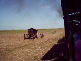 Większość terenów uprawnych posiada państwo, a ziemie zniszczone są przez monokulturę trzciny cukrowej, której, co prawda już zaniechano, ale rewitalizacja gleb zajmie sporo czasu. Prowincja Ciego de Ávila, 2007 r.