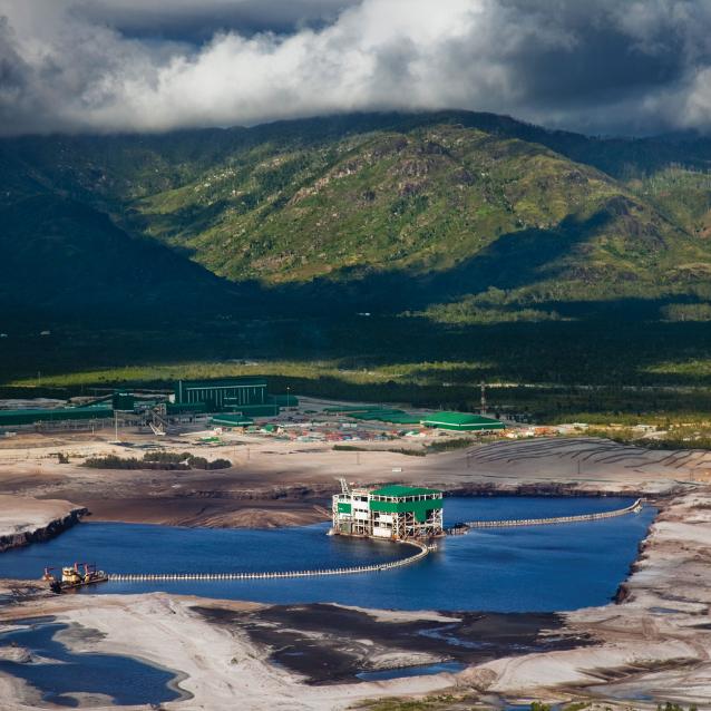 Firma górnicza Rio Tinto pozyskuje minerał ilmenit w zagrożonych degradacją lasach nadbrzeżnych południowo-wschodniego Madagaskaru.