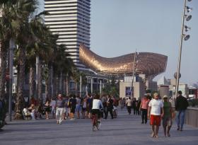 Barcelona – Peix d’or (Złota ryba). Znów obiekt, który miał zdobić wydarzenie sportowe. W 1992 r. rozegrała się tutaj olimpiada. Złota ryba projektu Franka Ghery’ego jest umiejscowiona przy brzegu – jakby z zamiarem zanurzenia się w wodach Morza Śródziemnego. Długa na 56 metrów, wysoka na 35, góruje nad okolicznym terenem. Dobrze widać ją z dystansu – i wygląda jak żywa. To dzięki grze świateł. Miedziane elementy konstrukcji przypominają jak najprawdziwsze rybie łuski.