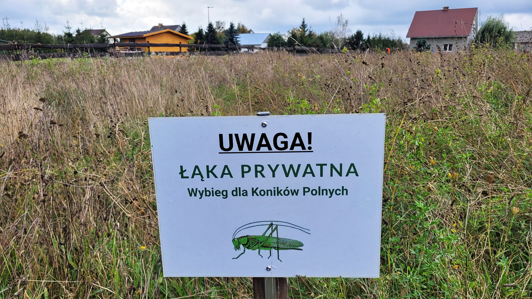 Kultura przestrzeni: Nowa nauka przyrodnicza