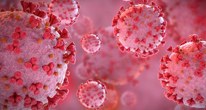 Wirus SARS-CoV-2, ilustracja