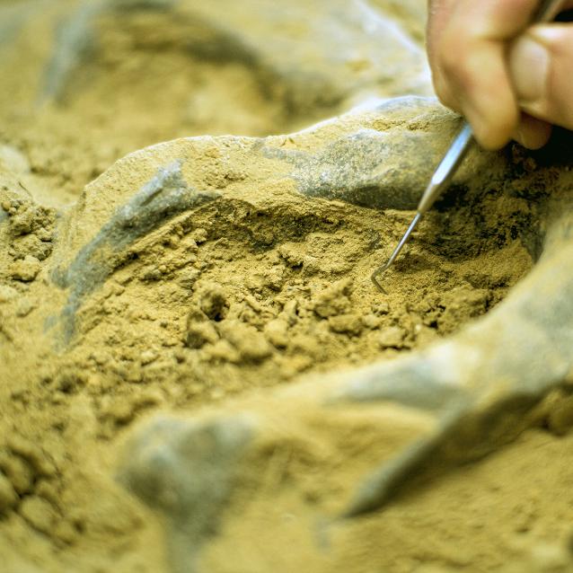 Najważniejsze w 2025 roku według Agnieszki Krzemińskiej