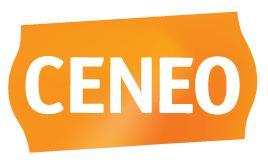 Ranking przygotowała porównywarka cen Ceneo,