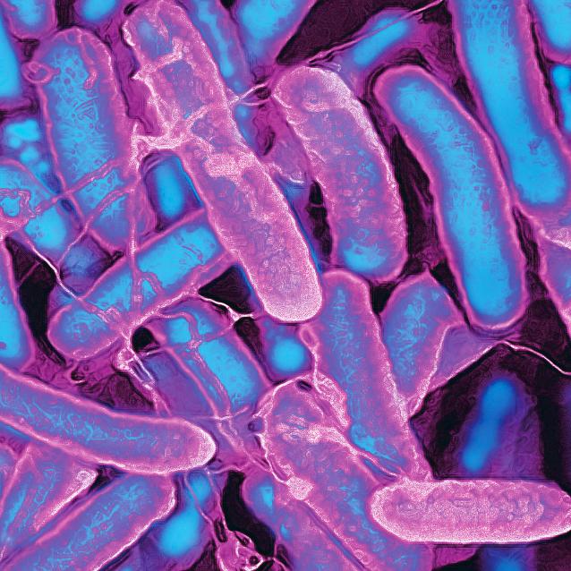 Pulsar - wyjątkowy portal naukowy.