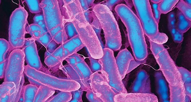 Pulsar - wyjątkowy portal naukowy.