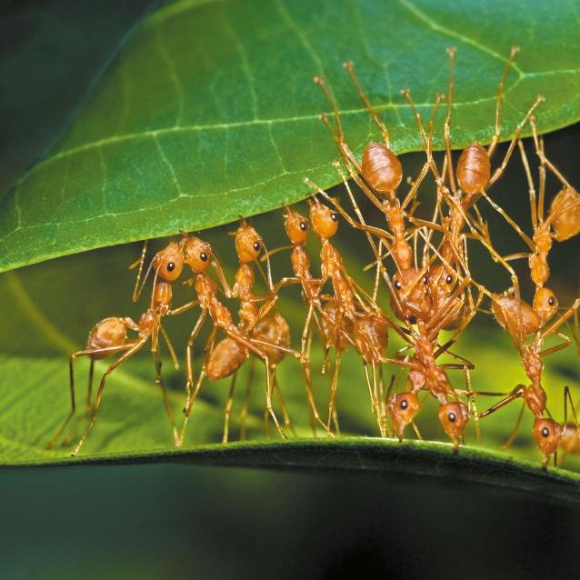 Pulsar - wyjątkowy portal naukowy.