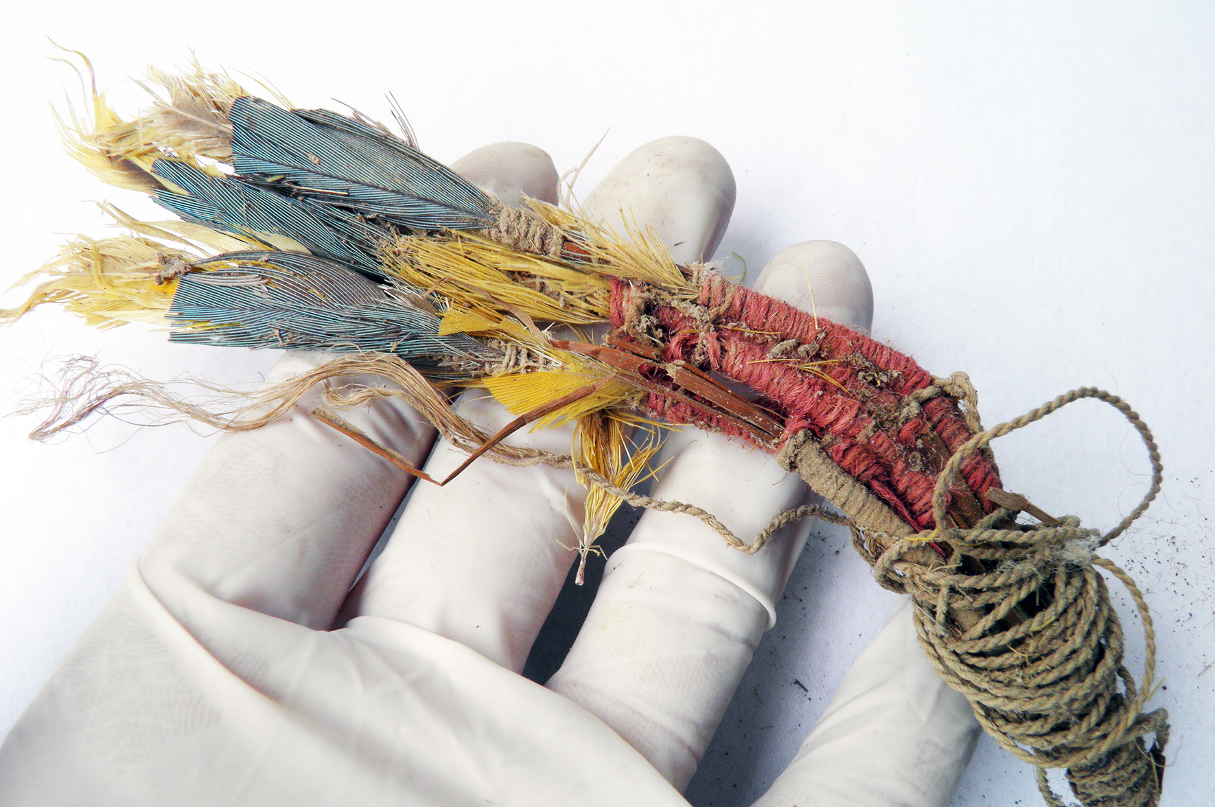 Historia zapisana piórami. Przypadki z Ameryki Południowej i Europy Północnej