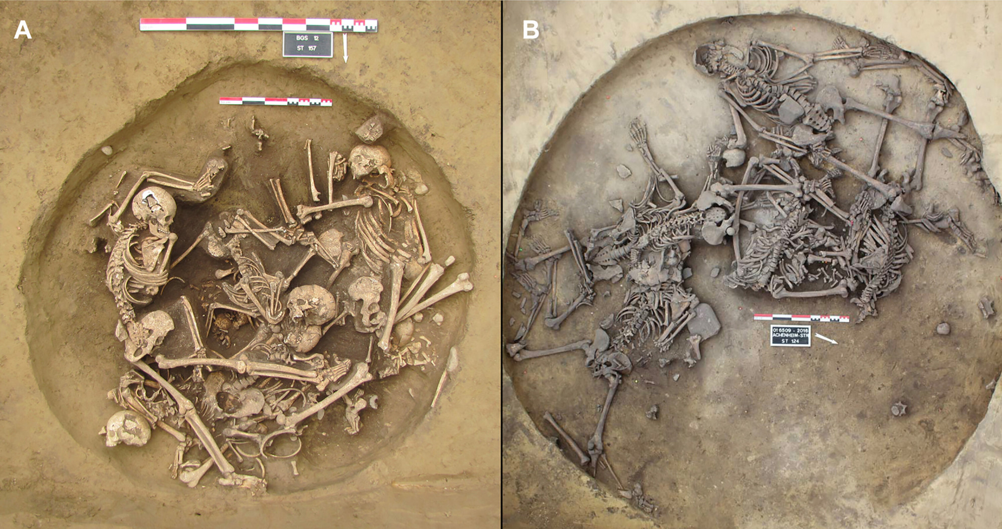 Reński overkill. Makabryczne trofea krótkotrwałej kultury