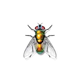 Można rzeczywiście nabrać podejrzeń, czy nowy projekt „Sprzymierzone owady” ma służyć wyłącznie usprawnianiu rolnictwa.