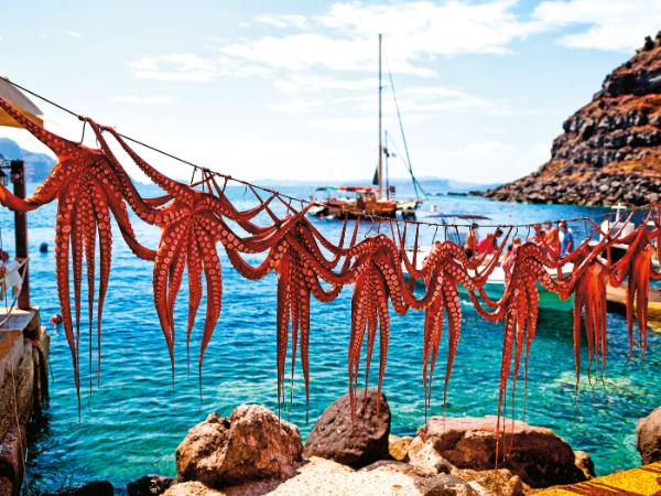 Grecką kuchnię Sturis poznawał, kiedy jeździł do rodziny ojca, do Aten czy Salonik, ale największym wtajemniczeniem nie były dla niego tawerny czy wytworne restauracje, ale stołówka studencka na stypendium w Grecji.