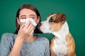 „Im intensywniejszy kontakt z alergenem zwierzęcym, tym większe prawdopodobieństwo alergii”.