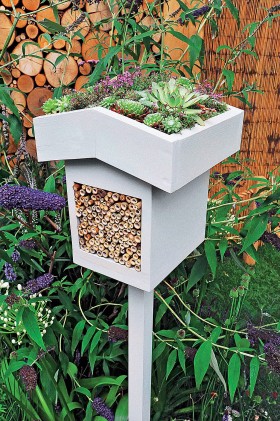 Uznanie na wystawie zdobyła początkująca projektantka, która zaproponowała miniogród „Dzikość w mieście”.