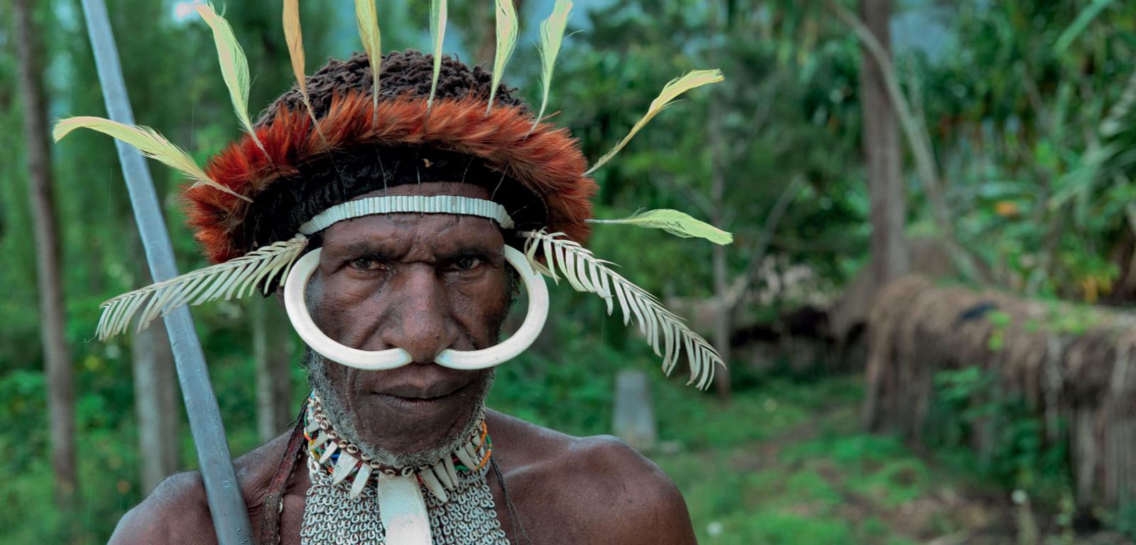 Wojownik ludu Dani, mieszkającego na centralnych wyżynach zachodniej Nowej Gwinei. Pierwszy jego kontakt z cywilizacją Zachodu nastąpił w 1920 r.