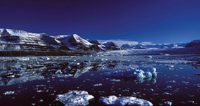 Topniejące góry lodowe w fiordzie Scoresby Sound, wschodnia Grenlandia.