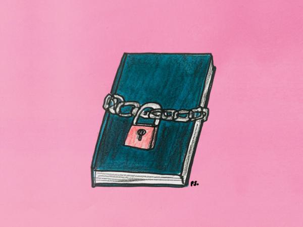 Zgodnie z nowymi przepisami obowiązującymi w stanie Arkansas można skazać bibliotekarzy i księgarzy na karę więzienia, jeśli nie utworzą oddzielnej strefy „tylko dla dorosłych”.