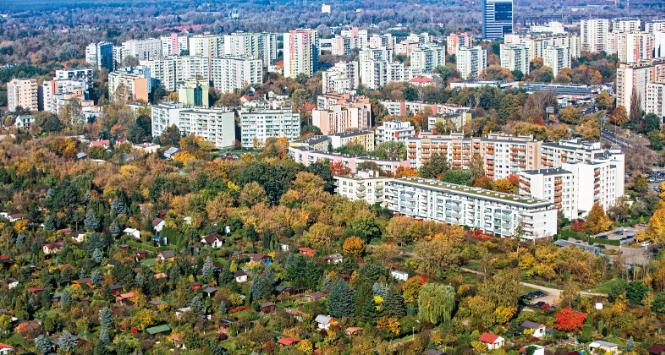Ogródki działkowe na warszawskim Bemowie.