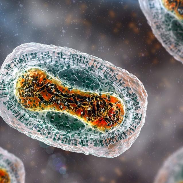 Mpox w Europie, mpox w Ameryce. Czy to już czas na panikę?
