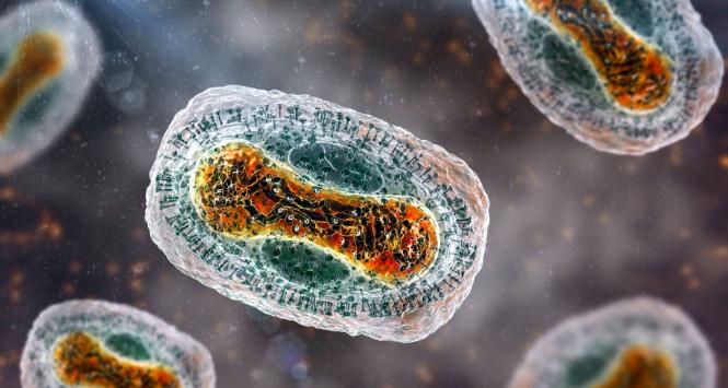 Pulsar - wyjątkowy portal naukowy.