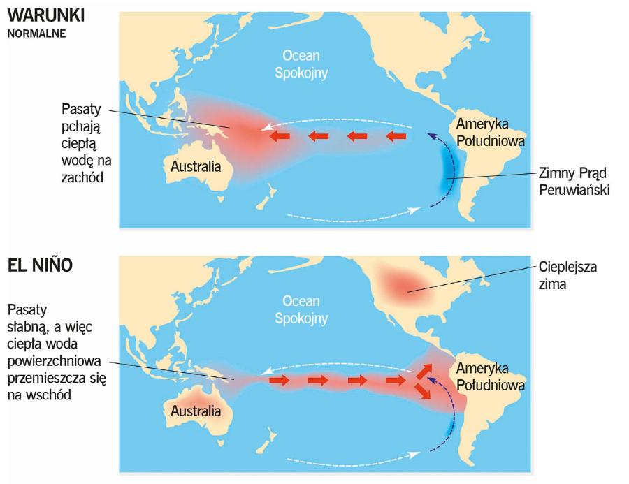 Sytuacja podczas warunków normalnych oraz El Niño.