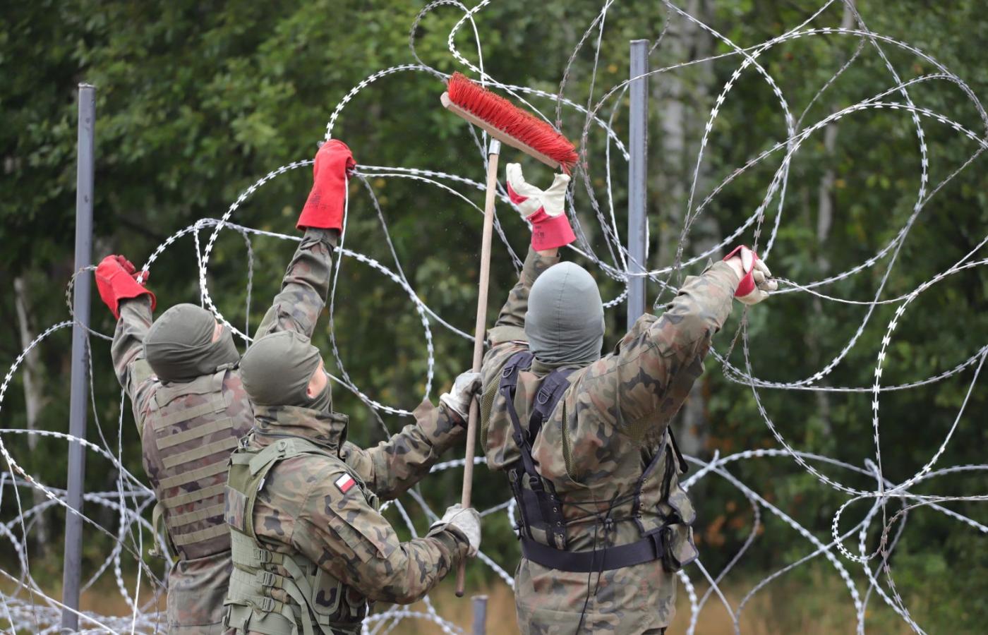 Wojsko podczas budowy płotu z drutu kolczastego wzdłuż granicy polsko-białoruskiej, przez którą przepychani są z Białorusi do Polski nielegalni imigranci. Sierpień 2021 r.