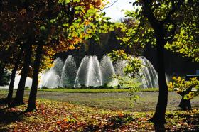 Cmentarz Centralny: 72 km alejek, 415 gatunków drzew i krzewów.