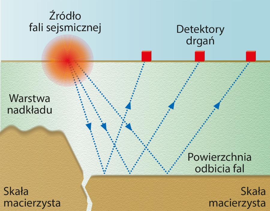 Sejsmika refleksyjna polega na emitowaniu fali ­akustycznej, a następnie ­rejestrowaniu sygnałów odbitych od poszczególnych warstw geologicznych.