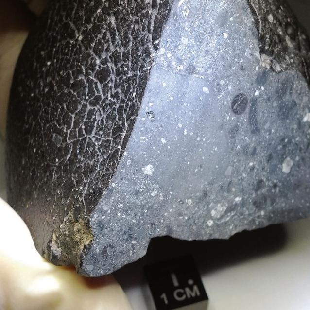 Marsjański meteoryt NWA 7034, nazywany Black Beauty, waży ok. 320 g.