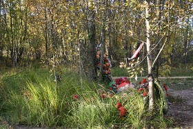 Jedno z miejsc obok lotniska, gdzie przez ostatnie pół roku mieszkańcy miasta i przybywający tu  Polacy składali kwiaty.
