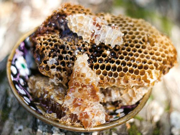 Podlasie pomału wraca do kulinarnych tradycji