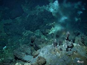 Komin hydrotermalny odkryty w Oceanie Atlantyckim, kilometr pod powierzchnią. Wypływająca woda ma 300 stopni i nanosi siarczki i siarczany wielu metali, pochodzących z poddennej magmy. Na zdjęciu dobrze widać, jak bardzo jest rozgrzana.