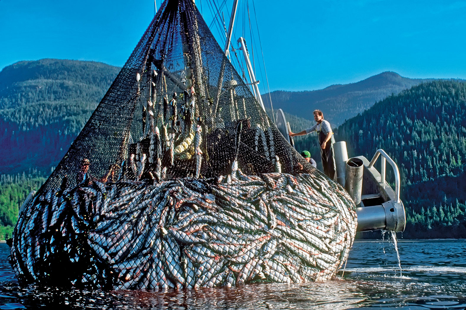 Страна ловить рыбу. Рыбный промысел в Норвегии. Рыболовство в Канаде. Исландия рыболовство. Рыбный промысел в Исландии.