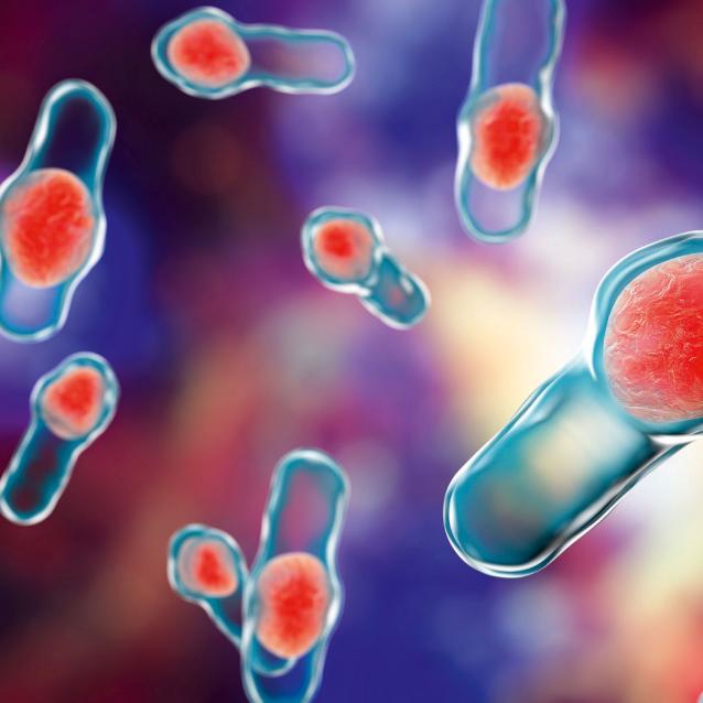 Nadmierne namnożenie się Clostridium ­difficile może doprowadzić do rzekomobłoniastego ­zapalenia jelit.
