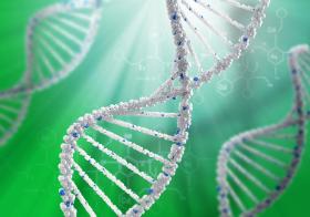 Rozziew między biologią a szeroko pojętą kulturą stale się powiększa i jeśli w ogóle dajemy sobie z tym jakoś radę, to dzięki technologii.
