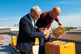 Pszczoły na dachu Centrum Handlowego Wileńska; z lewej: dyr. Stanisław Dawicki.
