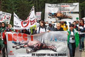 Protest przeciwko wykorzystywaniu koni w transporcie na Morskie Oko, Polana Palenicka.