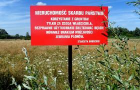 Jeśli wierzyć rządzącym, wszystkie problemy transportowe już wkrótce rozwiąże Centralny Port Komunikacyjny, bo dzięki niemu będziemy mieć nie tylko megalotnisko, ale także kilka nowych i szybkich tras kolejowych.