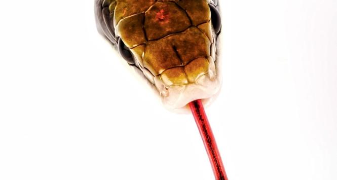 Wszechobecność mowy nienawiści, zwłaszcza obraźliwe określenia grup obcych, ma skutki nie tylko na poziomie jednostkowym.