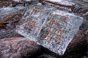 Basia Irland, projekt z cyklu „Ice Books”.