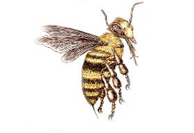 Ileż mniej profesor Gliński szkód by narobił, gdyby zajął się na przykład pszczelarstwem.