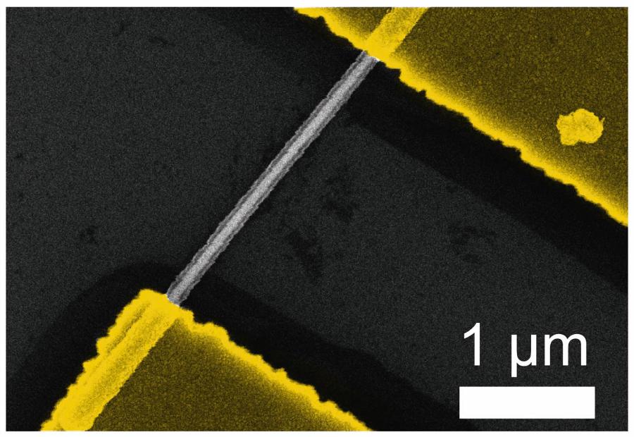 Pojedynczy nano­drut łączący dwie złote elektrody na zdjęciu wykonanym pod mikroskopem elektronowym. Średnica włosa to dla porównania ok. 50 µm