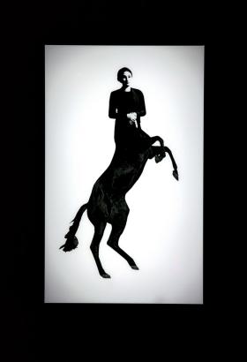 Ginczanka jako „Centauressa” - praca Marty Deskur z 2015 r. prezentowana na wystawie w Muzeum Literatury