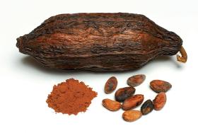 Ponieważ naturalne czekolady aromatyzowane są tylko laską wanilii, duże znaczenie ma zawsze sam smak kupowanego ziarna.