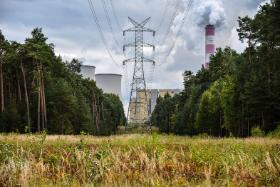 Mamy wciąż mało źródeł odnawialnych i rekordowy udział mocy węglowych.