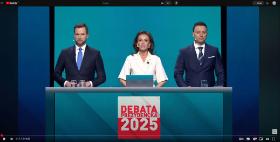 Dorota Wysocka-Schnepf