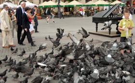 Na spotkanie wyborcze z kandydatem Andrzejem Olechowskim zleciało się wielu gości z całej Polski. Po mityngu czekał na wszystkich darmowy poczęstunek.