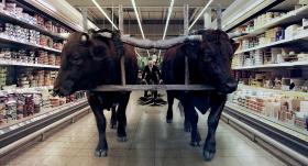 Metafizyka i intymność. Rzadko który ze współczesnych twórców odsłania się tak głęboko przed swoim widzem.