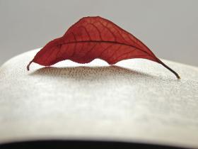 Polacy piszą dziś wiersze bardziej masowo i namiętniej niż w romantyzmie.