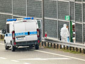 Nowi ludzie, bardziej doświadczeni, jechali szukać w miejscach już raz przeszukiwanych.