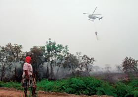 Helikopter gaśniczy nad zachodnim Borneo. W trudno dostępnych miejscach z ogniem najlepiej walczyć z powietrza.